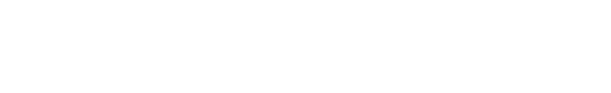 Lingua Services International